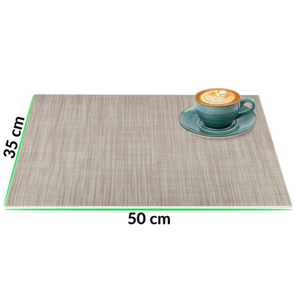 Tischset Platzsets Platzdeckchen abwaschbar Tischuntersetzer PVC hitzebeständig Falschuni Beige 35x50cm