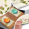 Tischset Platzsets Platzdeckchen abwaschbar Tischuntersetzer PVC hitzebeständig Botanica 35x50cm
