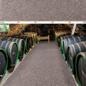 Flur Läufer Teppich Läufer Sauberlaufmatten Eingangsbereich Meterware POET Breite 160cm Beige