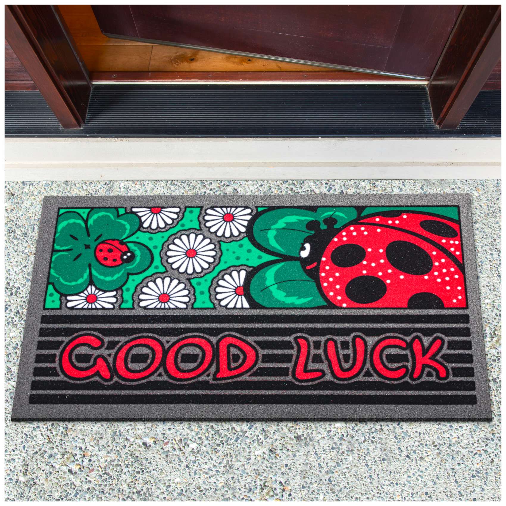 EF20926_10 Schmutzfangmatte Fußmatte Sauberlaufmatte Schmutzmatte Motiv Good Luck 40x68cm