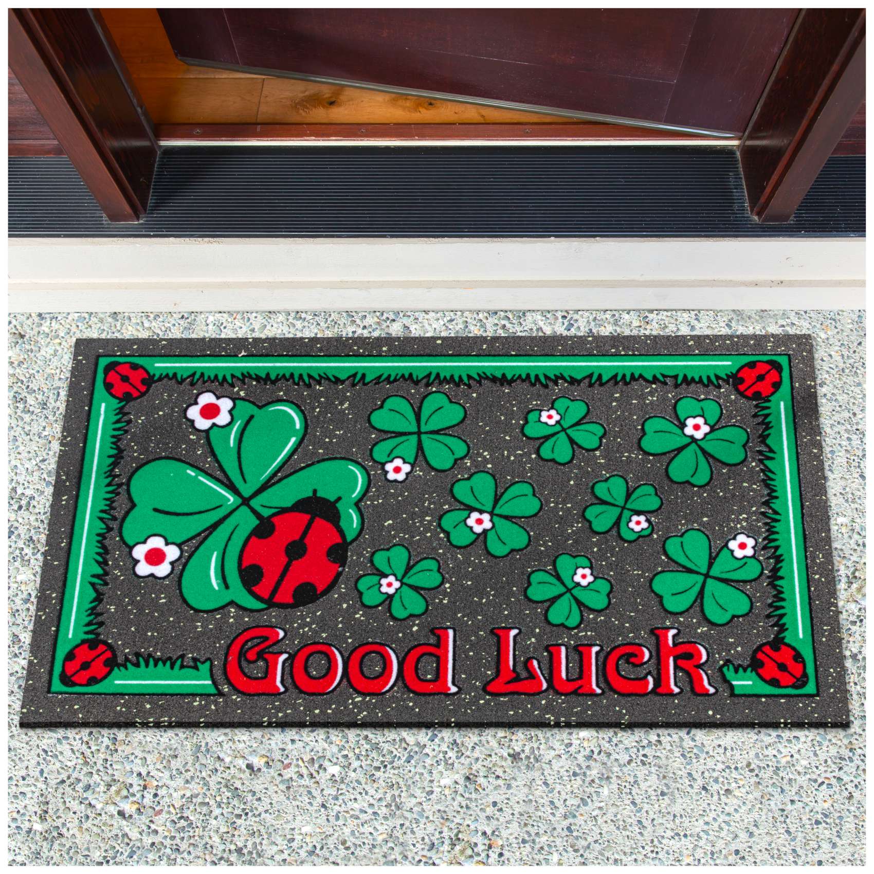 EF21914_10 Schmutzfangmatte Fußmatte Sauberlaufmatte Schmutzmatte Motiv Good Luck Marienkäfer 40x68cm